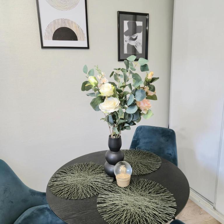 L'Aquarelle studio - Bord du Clain, Calme, Netflix - Appartement 1 Chambre - 10