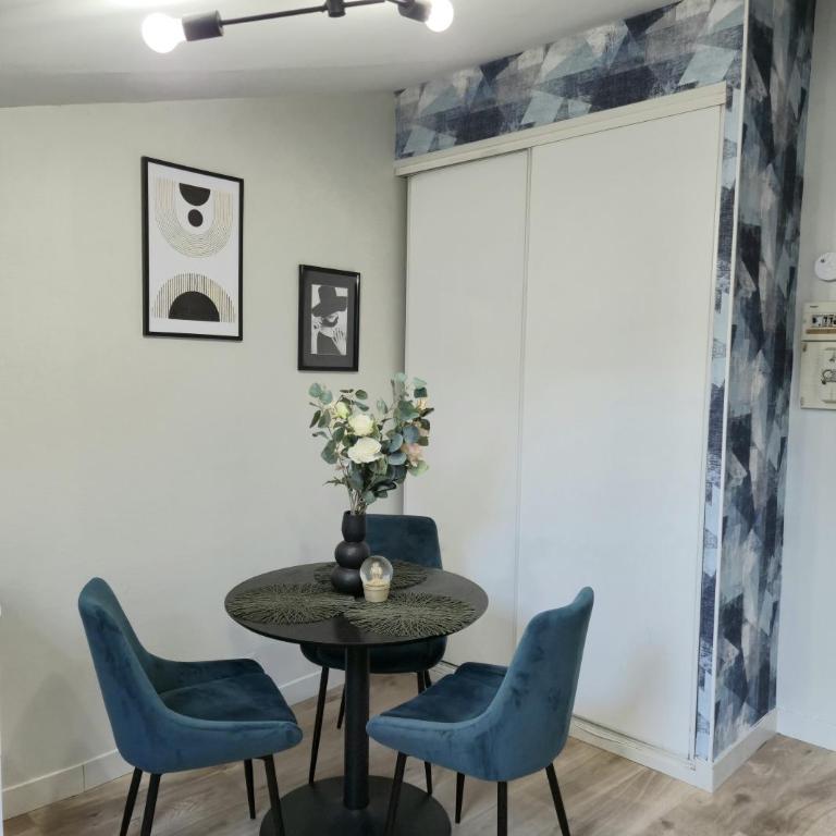 L'Aquarelle studio - Bord du Clain, Calme, Netflix - Appartement 1 Chambre - 3