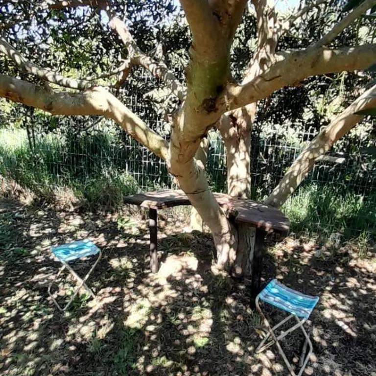 Casa, Campo Paraje Pavon - Casa con 1 dormitorio - 8