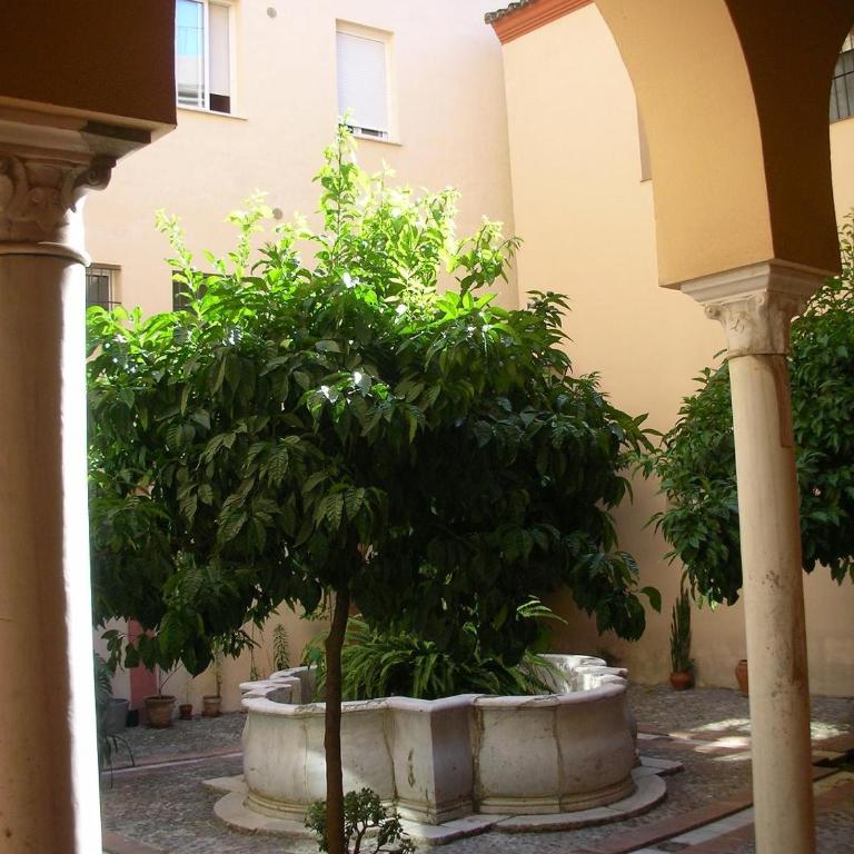 Santa Ana - Palacio Del Infantado - Apartamento Superior con 3 dormitorios - 9