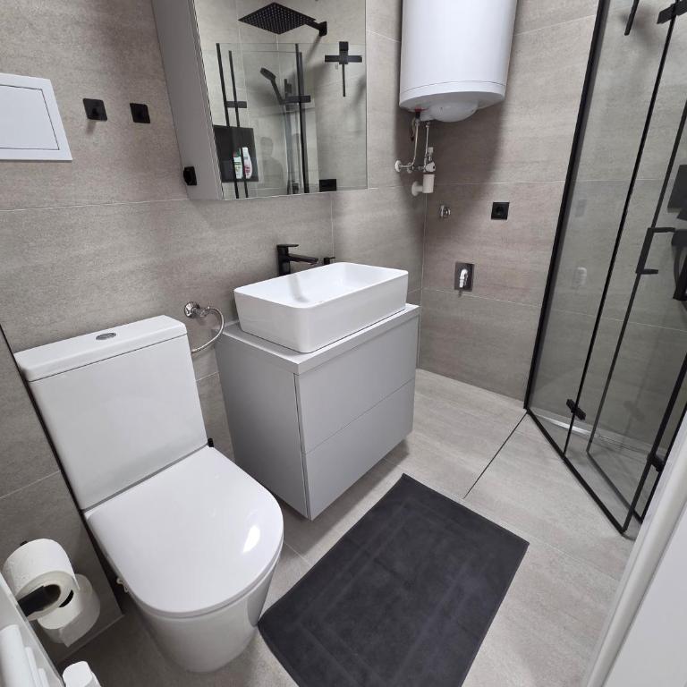 Zentrale Wohnung, nähe Innenstadt - Apartment mit 1 Schlafzimmer - 9