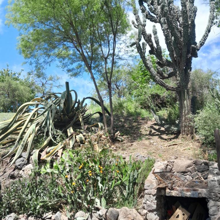 La Loma - Casa de 2 dormitorios - 5