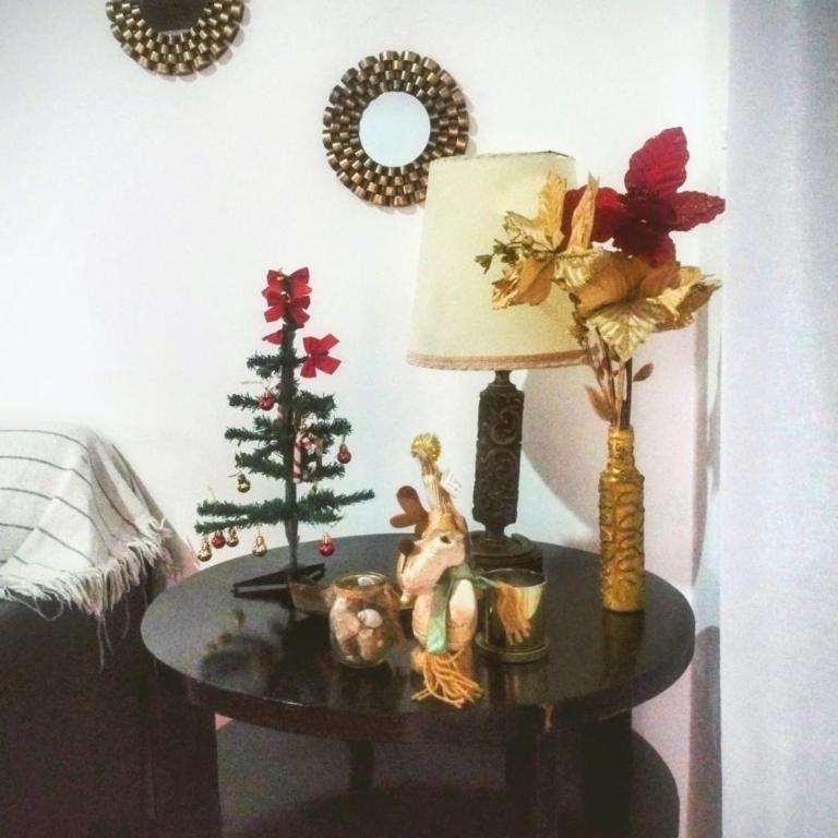 Complejo Cerrado Zona Shopping - Two-Bedroom Apartment - 12