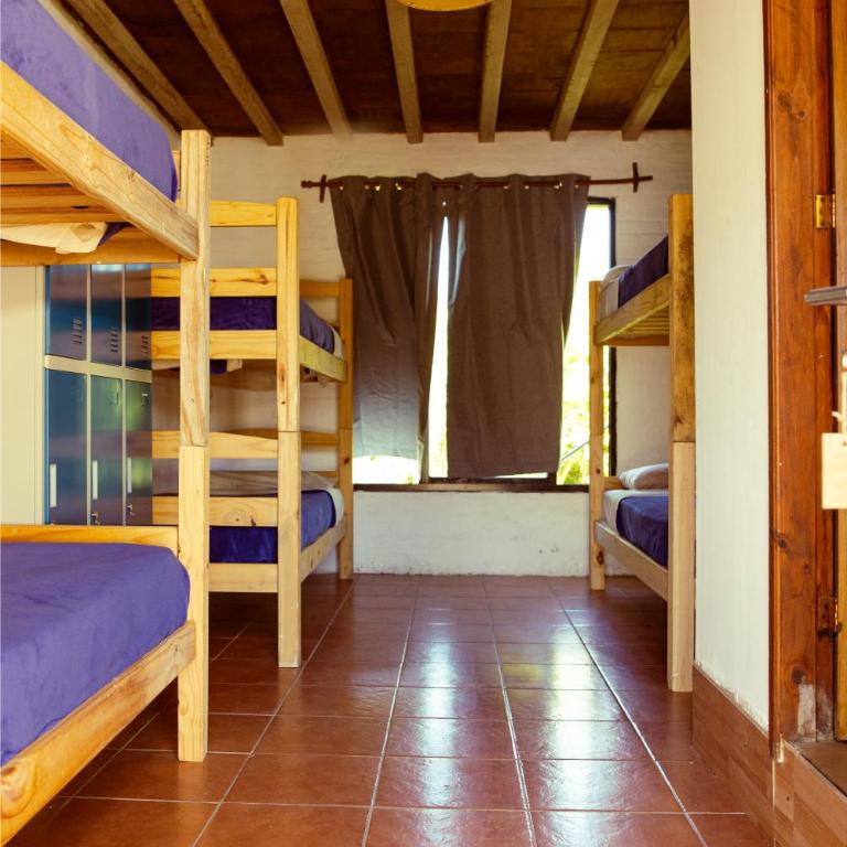 La Quinta Hostel & Suites - Cama en habitación compartida de 6 camas - 1