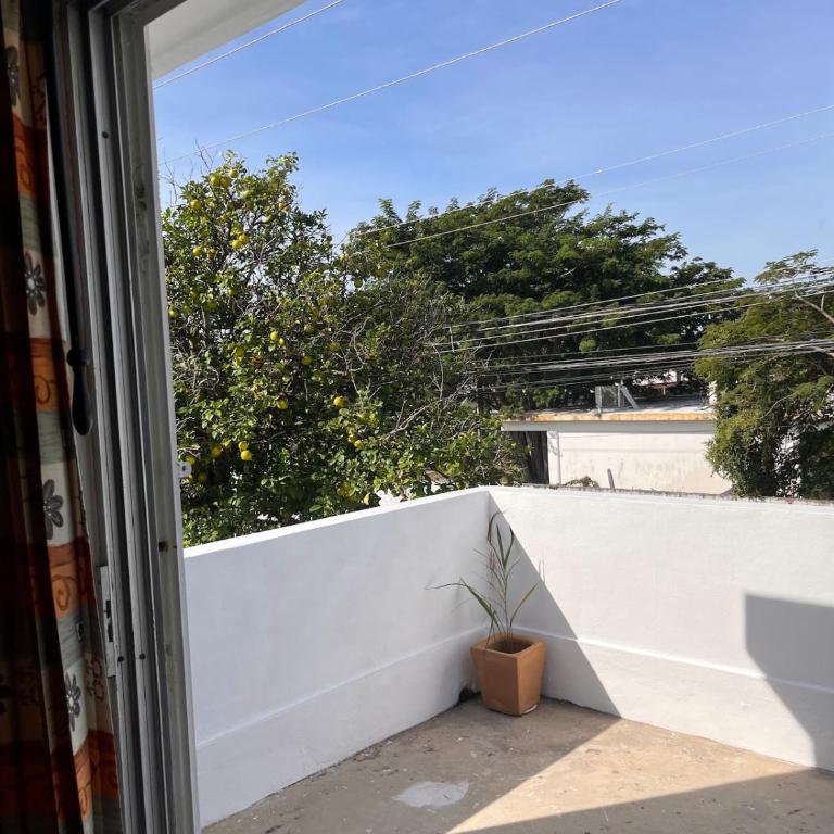 Apartment in Merida - Two-Bedroom Apartment - 3