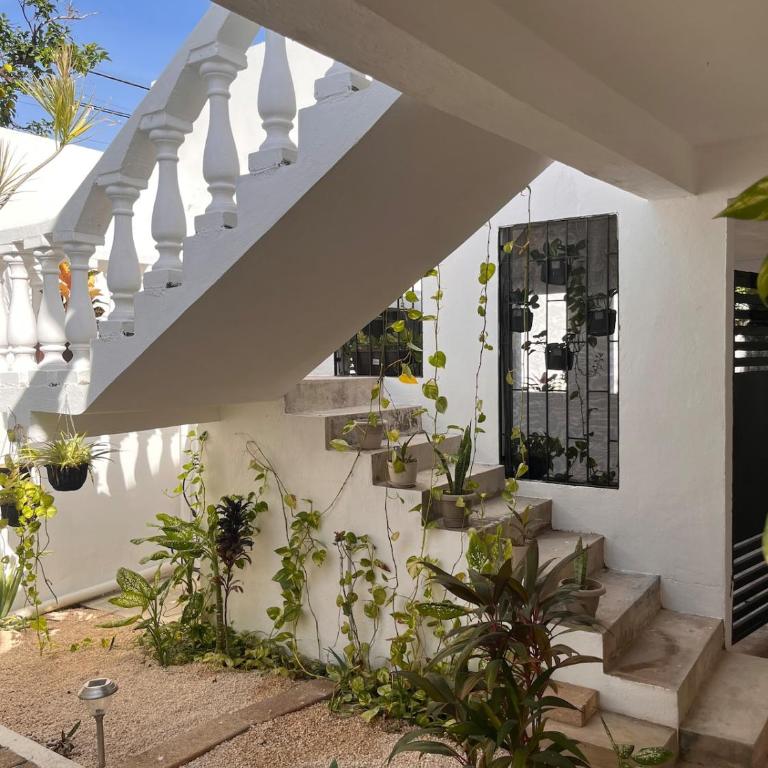 Apartment in Merida - Two-Bedroom Apartment - 4