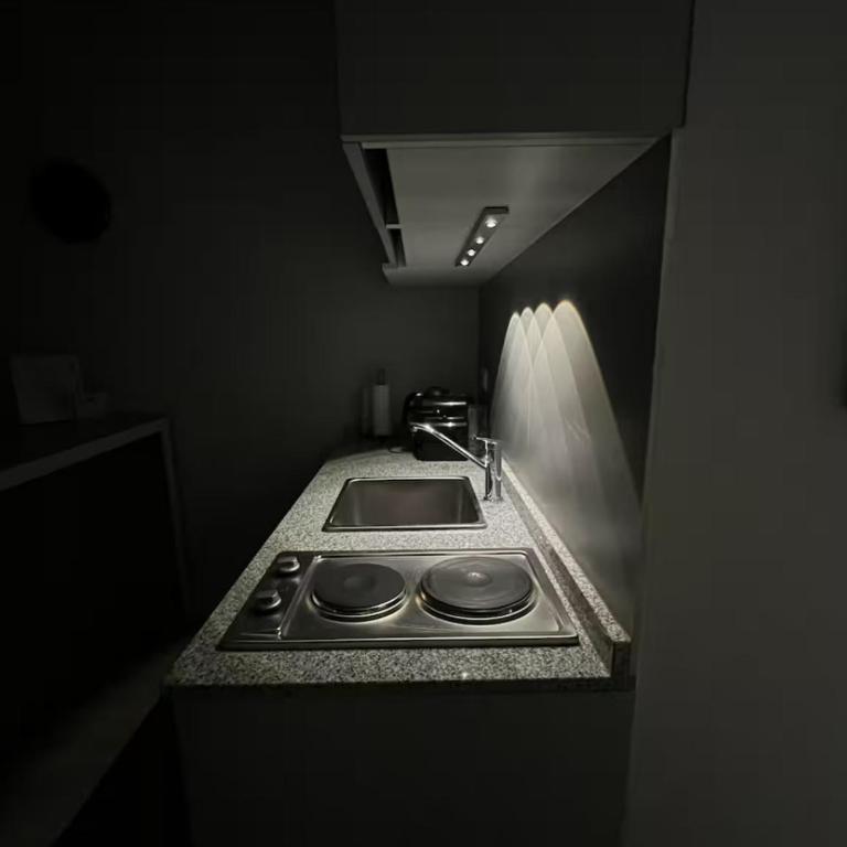 Premium Studio in Downtown - One-Bedroom Apartment - 13