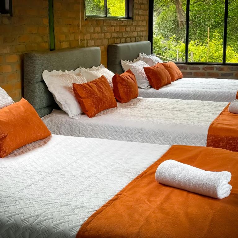 Casa Elim - Apartamento de 2 dormitorios - 3