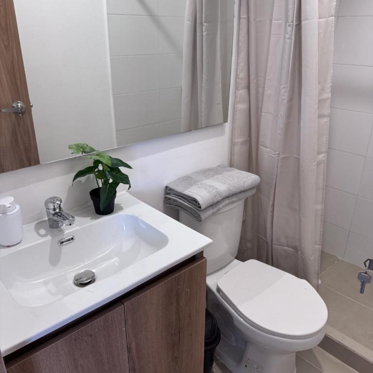 Comodo Apartamento con Ubicacion Central - Apartamento de 2 dormitorios - 5
