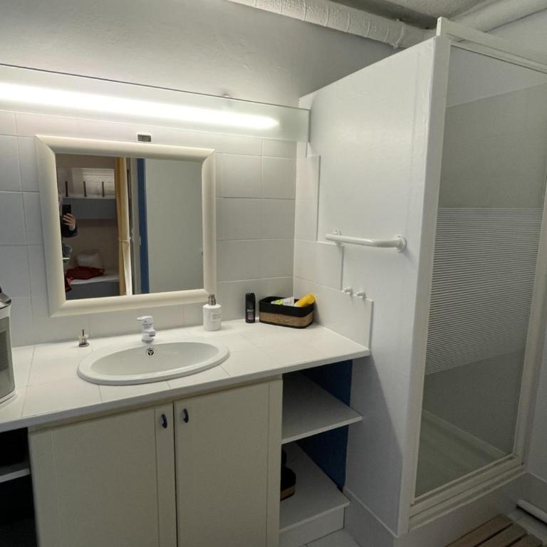 Charmant studio cabine sur les pistes à Villard-de-Lans - FR-1-761-51 - Estudio - 4