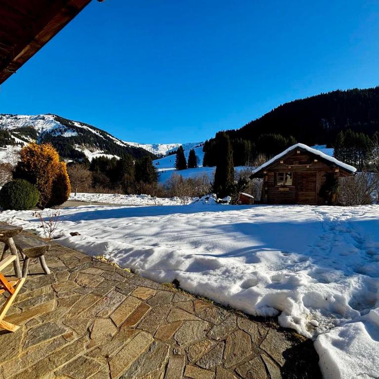 Appartement T3 avec terrasses et Wi-Fi, près des pistes - Appartamento con 2 Camere da Letto - 21
