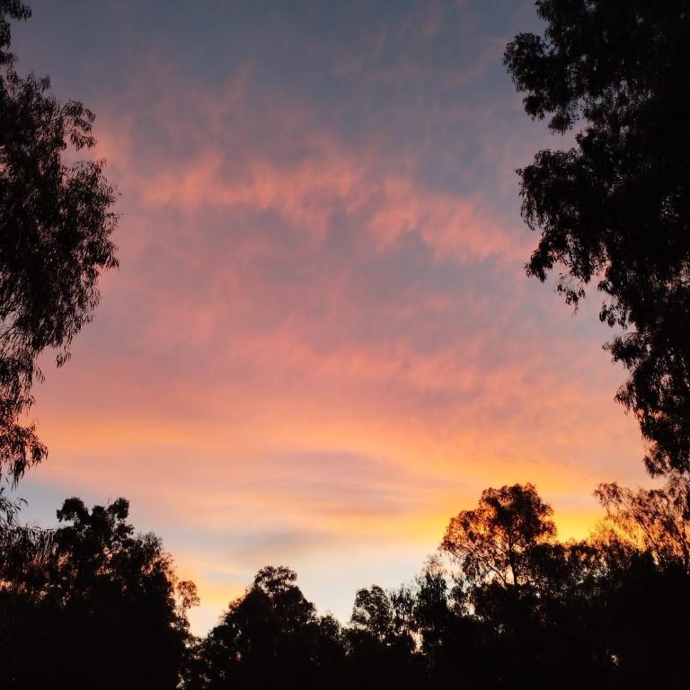 Los Horneros - Casa de 2 dormitorios - 27