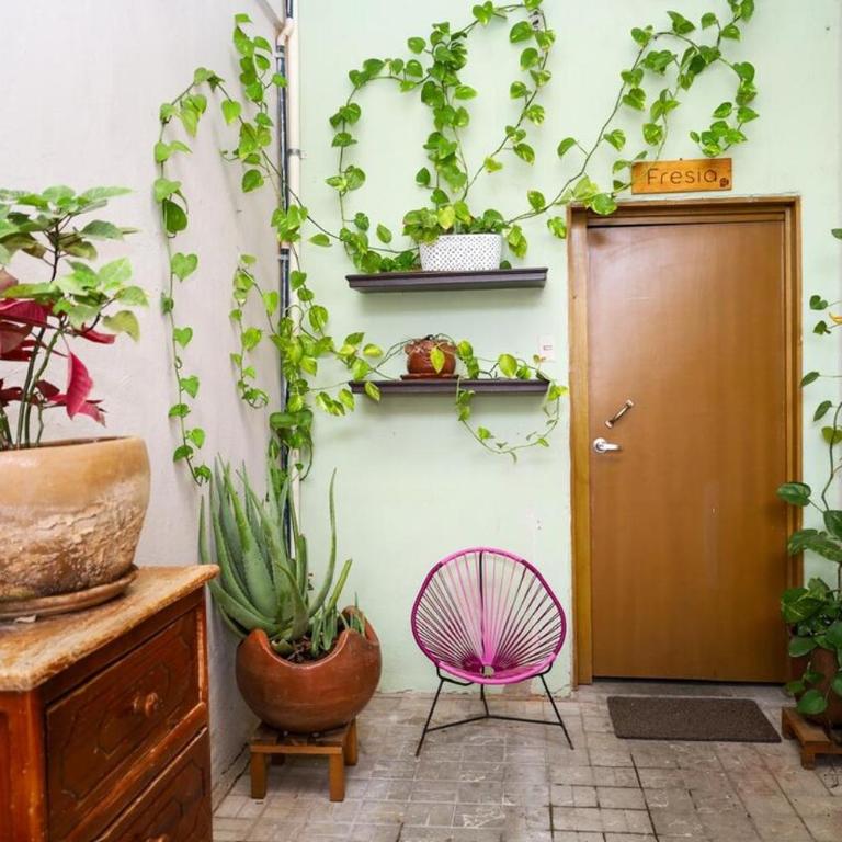 Fresia habitación privada con encanto oaxaqueño - Apartamento de 1 dormitorio - 23