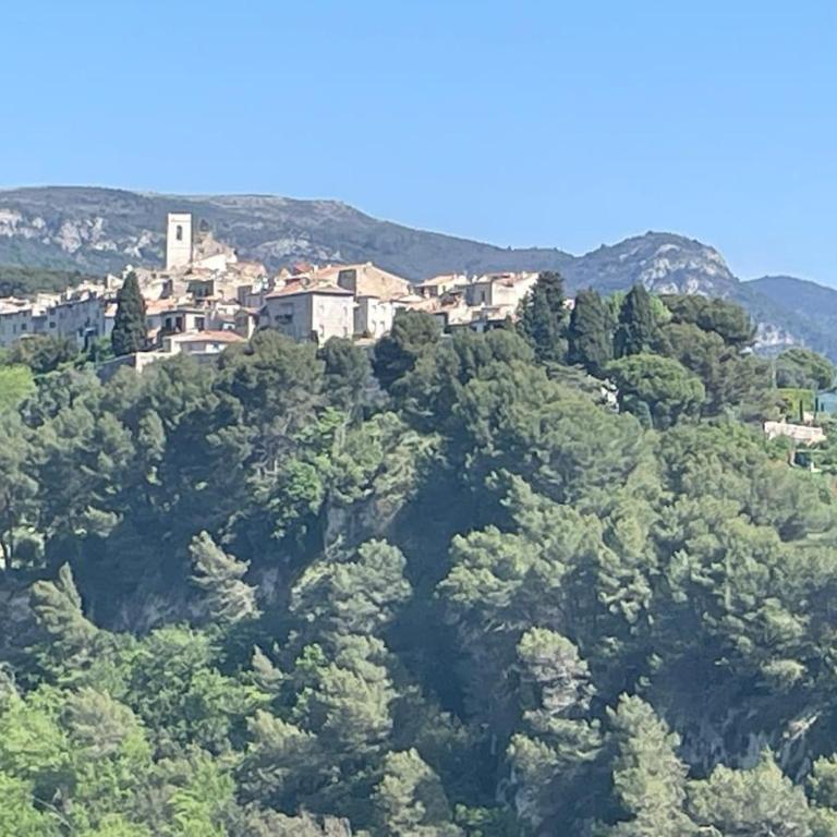 Maison atypique avec vue à Saint Paul de Vence - Villa mit 2 Schlafzimmern - 48