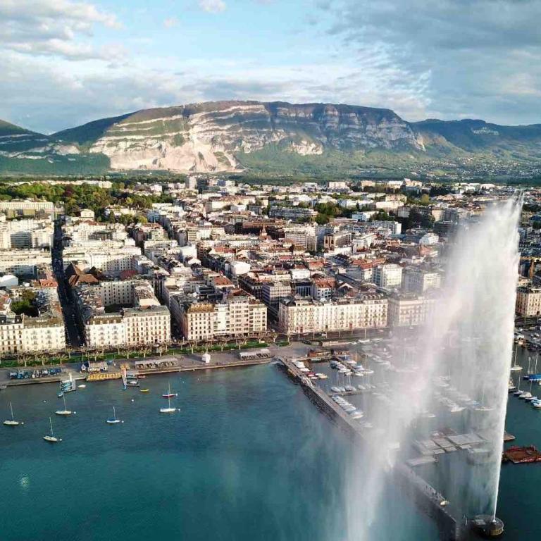 Luxury Apartment in Central Geneva - Appartement 1 Chambre - 10