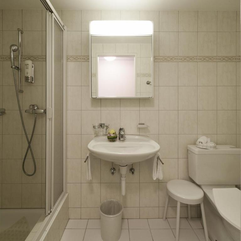 Hotel Steinbock Pontresina - Standard Single Room - 3