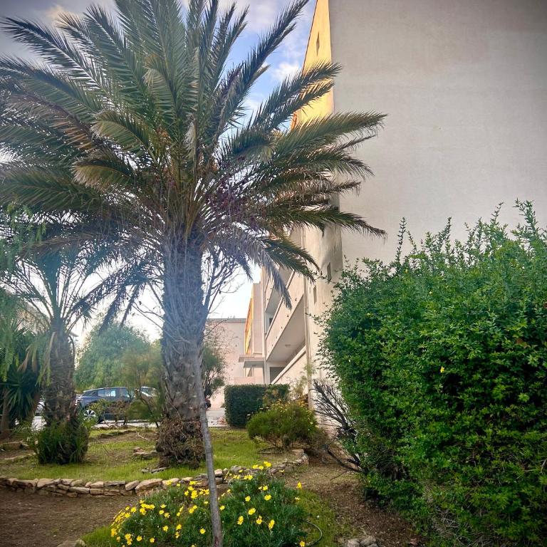 Bel appartement à 2 min de la plage à Six-Fours-les-Plages - Apartment - 26