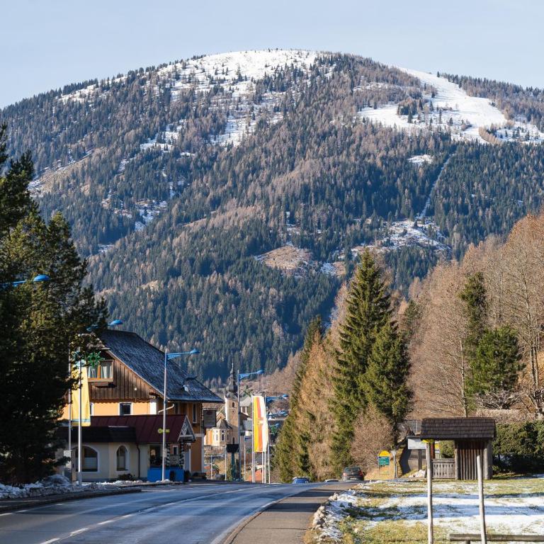 Alpen family apartment Bergfreunde near skilift and golf course - Apartment mit 2 Schlafzimmern - 40