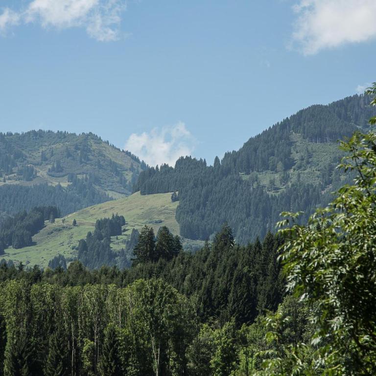 Gaisbock der Ferienhof - Apartment - 14