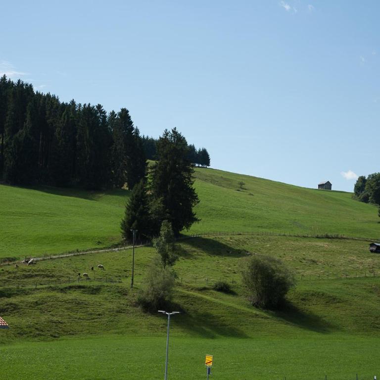 Gaisbock der Ferienhof - Apartment - 12