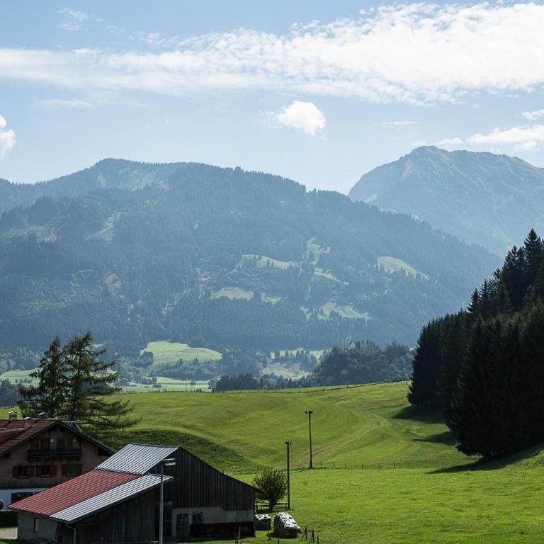 Gaisbock der Ferienhof - Apartment - 12