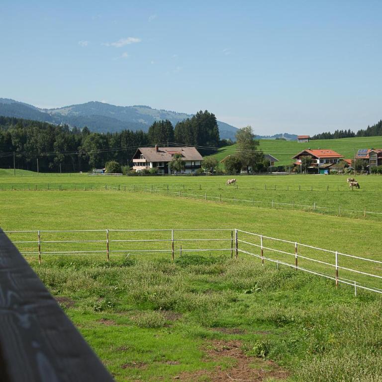 Gaisbock der Ferienhof - Apartment - 11