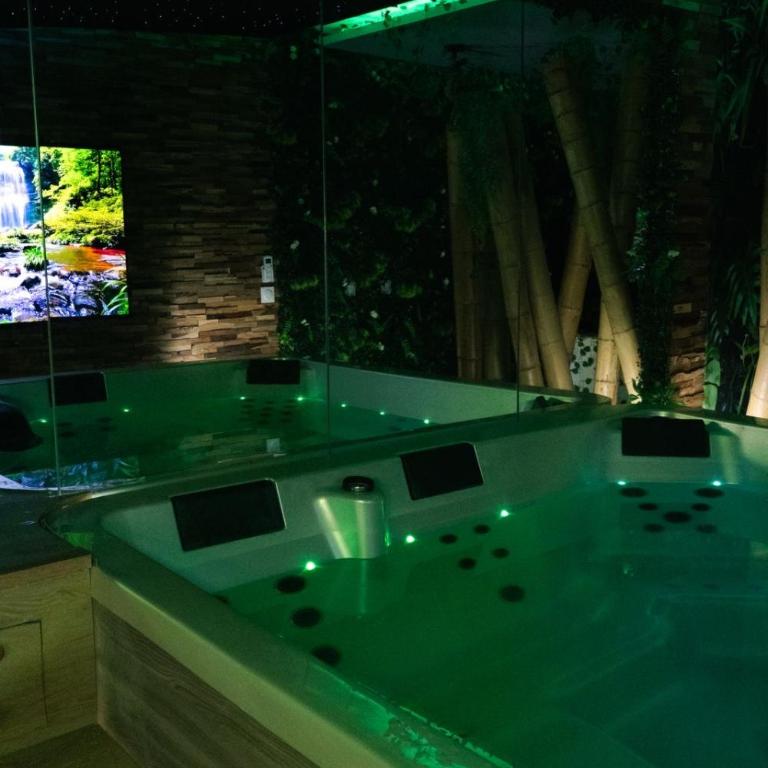 Suite Jungle Room - Apartment mit 1 Schlafzimmer - 3