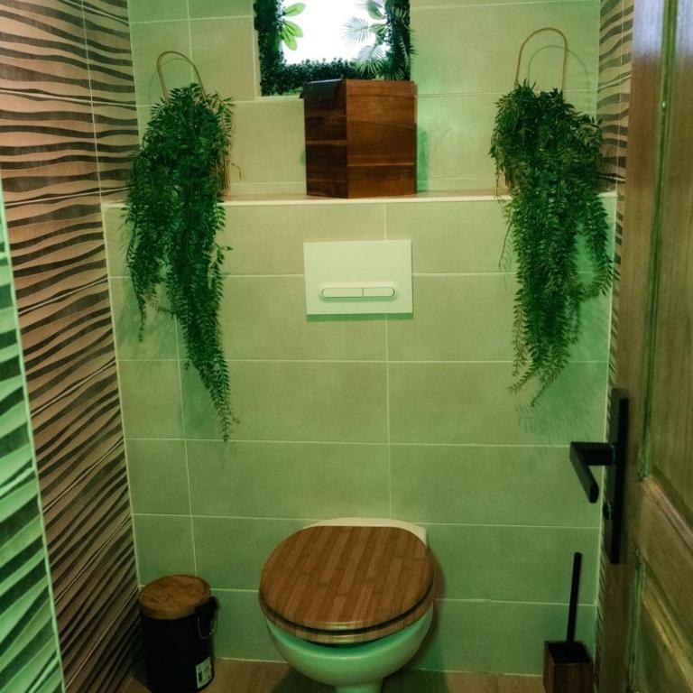 Suite Jungle Room - Apartment mit 1 Schlafzimmer - 11