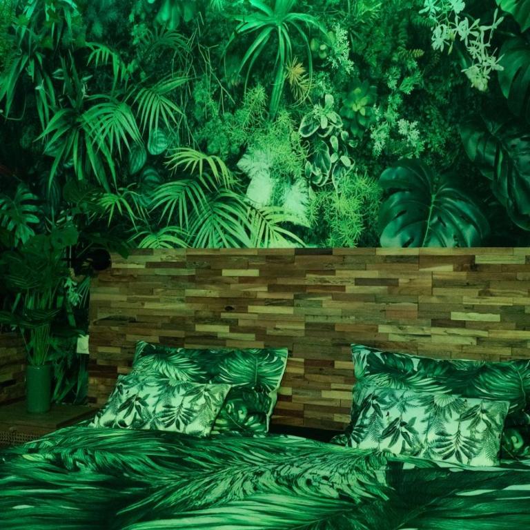 Suite Jungle Room - Apartment mit 1 Schlafzimmer - 4