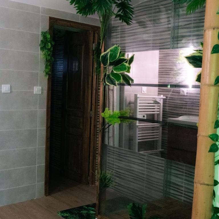 Suite Jungle Room - Apartment mit 1 Schlafzimmer - 7