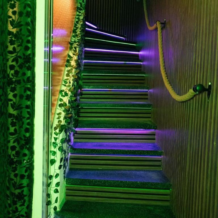Suite Jungle Room - Apartment mit 1 Schlafzimmer - 9