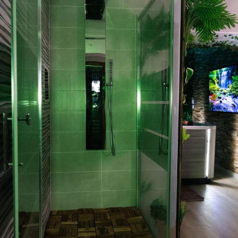 Suite Jungle Room - Apartment mit 1 Schlafzimmer - 8