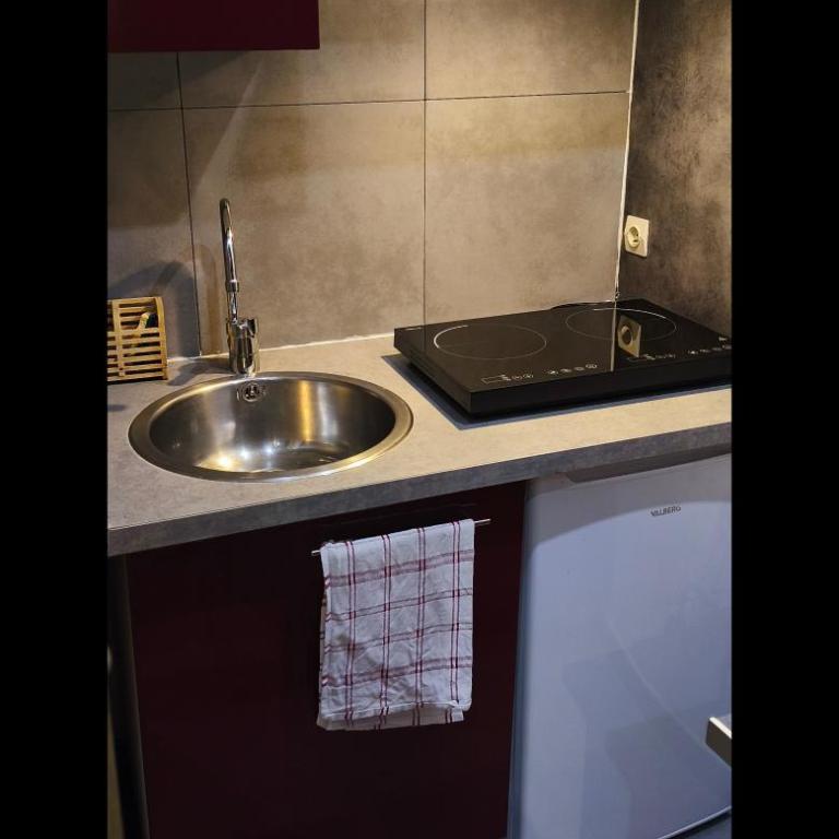 Studio chez l'habitant - Apartment mit 1 Schlafzimmer - 2