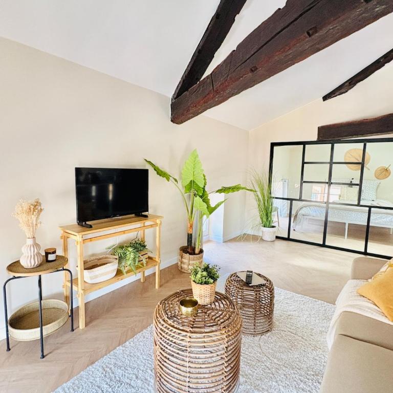 Ravissant Appartement Centre Historique Albi - Apartment mit 1 Schlafzimmer - 11