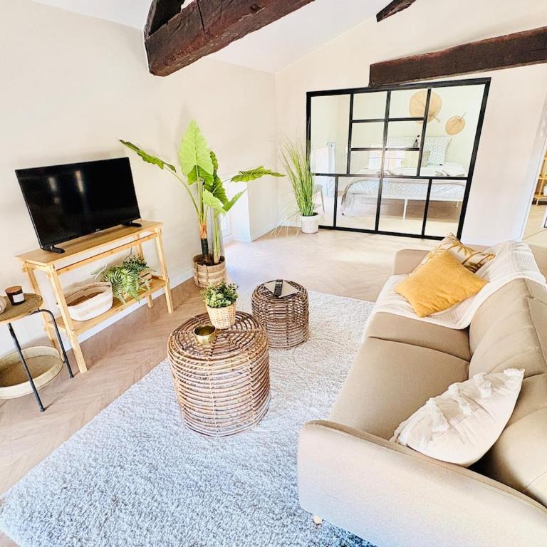 Ravissant Appartement Centre Historique Albi - Apartment mit 1 Schlafzimmer - 1