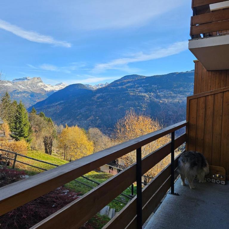 appartement proche ski et randonnées, vue montagne - One-Bedroom Apartment - 12