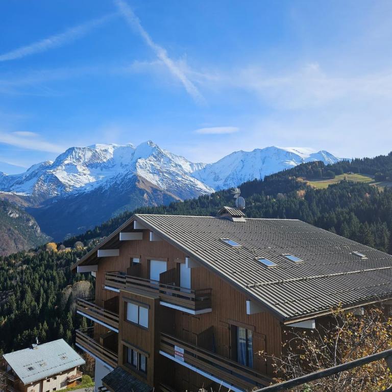 appartement proche ski et randonnées, vue montagne - One-Bedroom Apartment - 19
