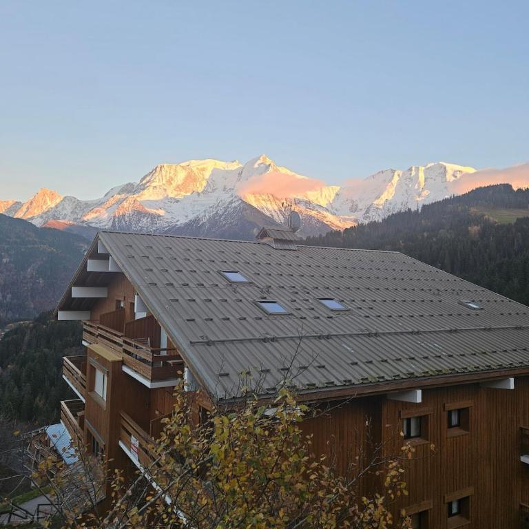 appartement proche ski et randonnées, vue montagne - One-Bedroom Apartment - 20