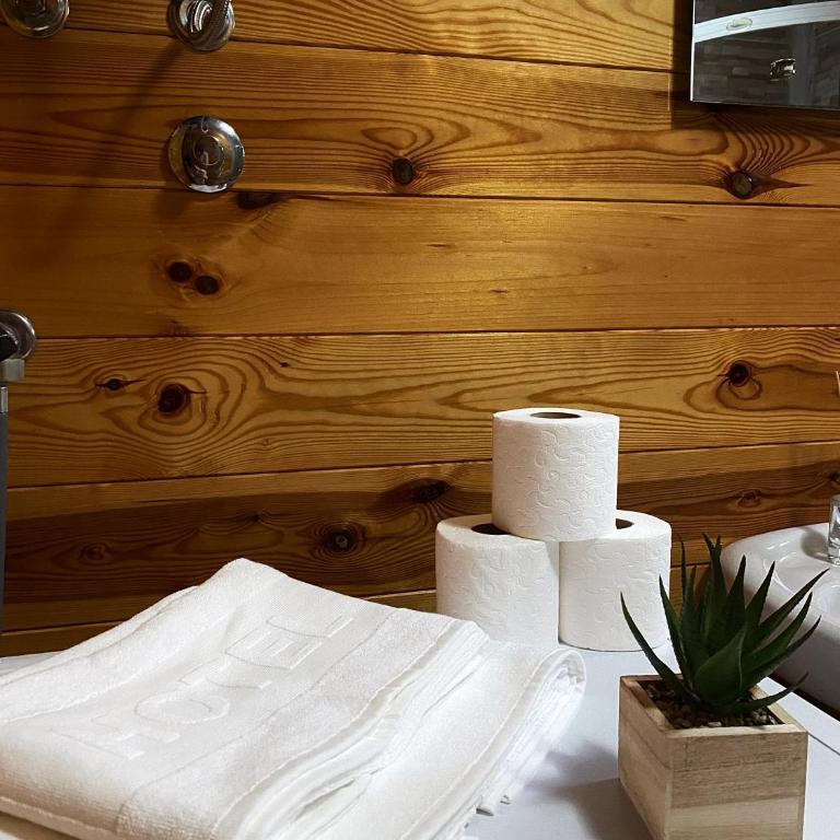 Mountain houses Milovanovic - Three-Bedroom Chalet - 12
