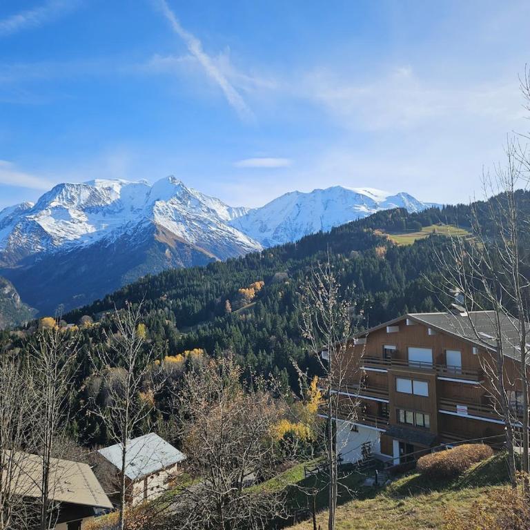 appartement proche ski et randonnées, vue montagne - One-Bedroom Apartment - 44