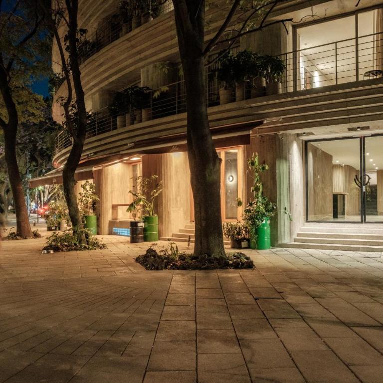 New 1Bed with Rooftop Terrace Beside Parque Mexico - Apartamento - 5