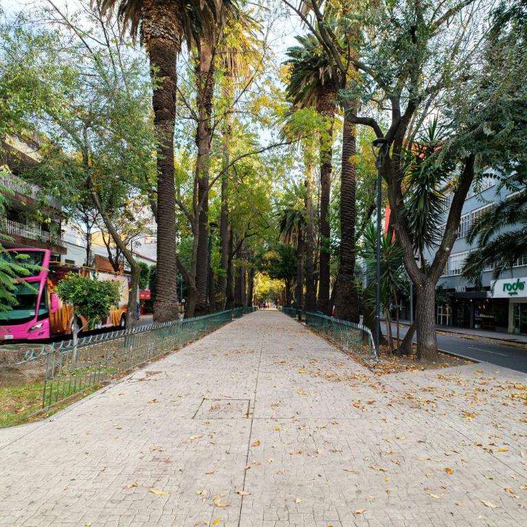 New 1Bed with Rooftop Terrace Beside Parque Mexico - Apartamento - 40