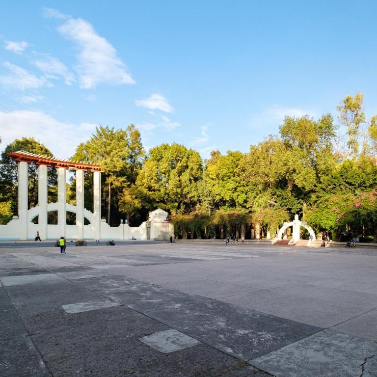 New 1Bed with Rooftop Terrace Beside Parque Mexico - Apartamento - 44