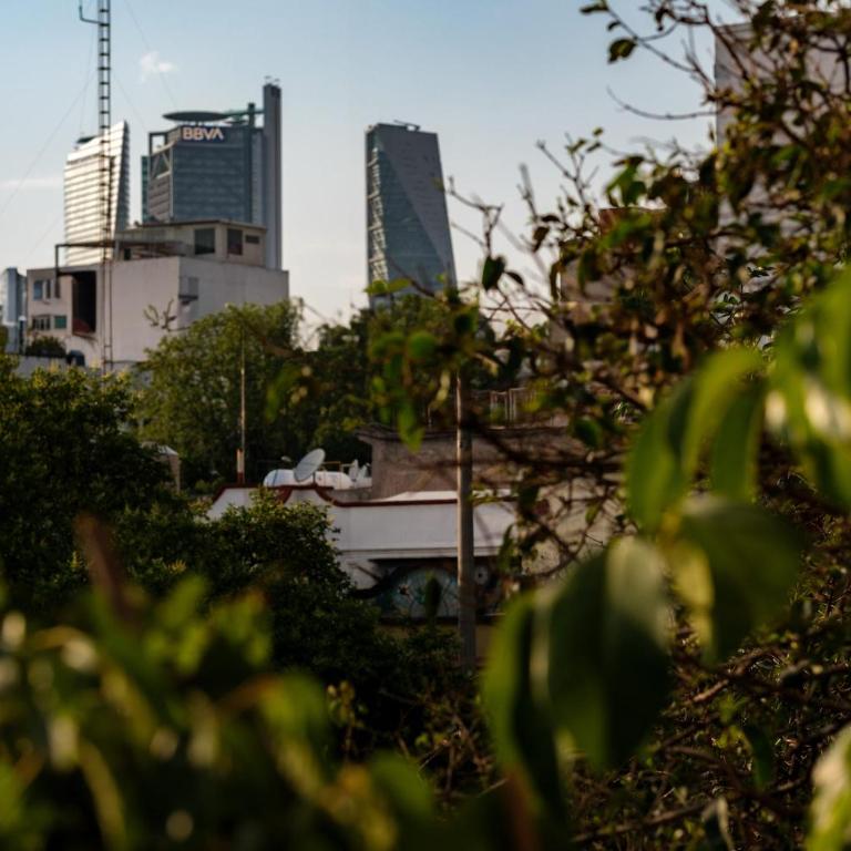 New 1Bed with Rooftop Terrace Beside Parque Mexico - Apartamento - 47