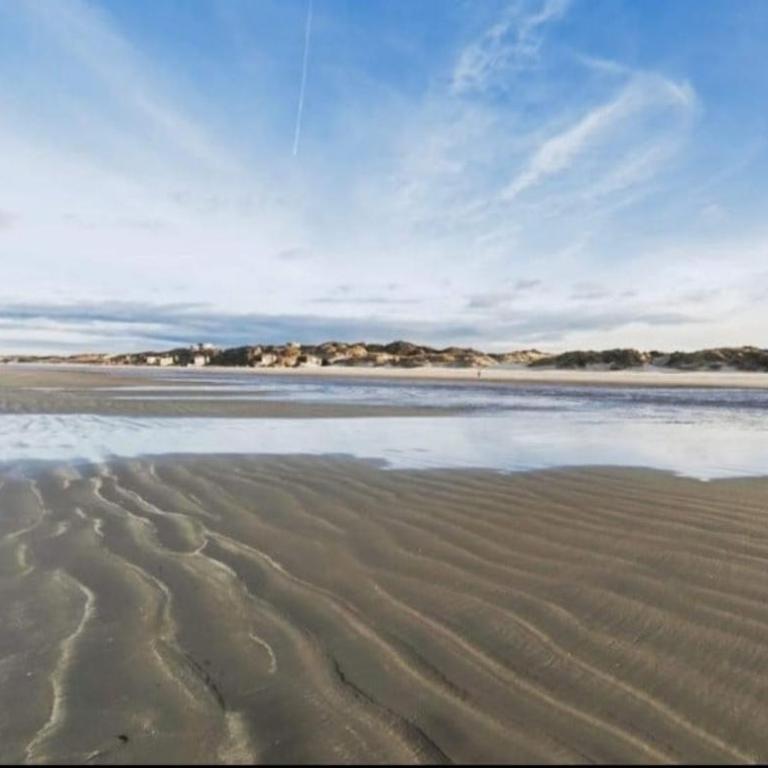 Superbe appartement sur la plage de Malo les bains - One-Bedroom Apartment - 27