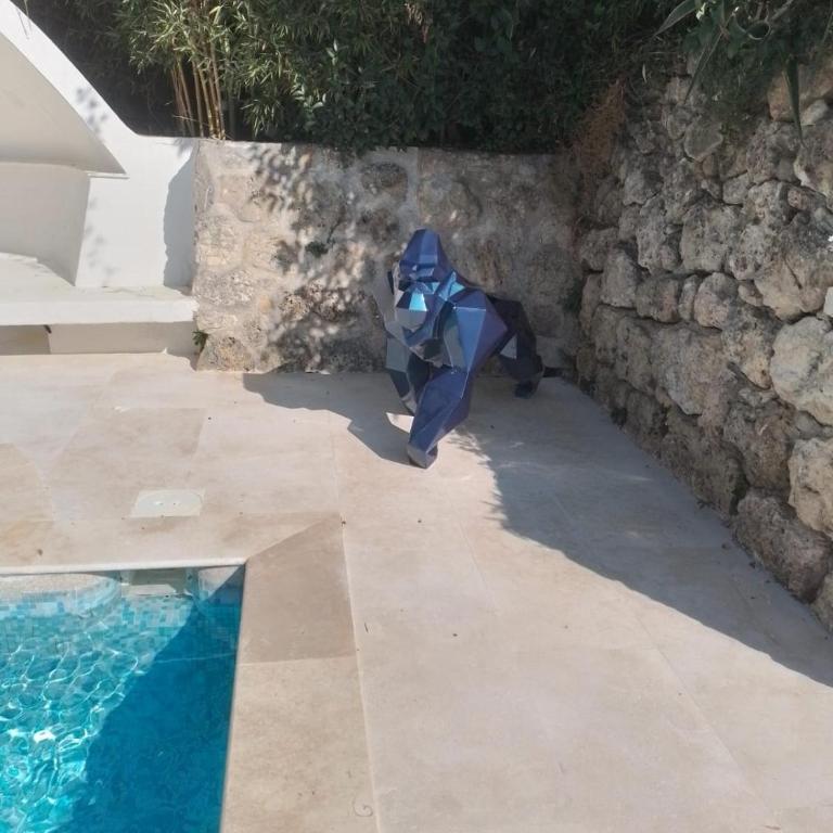 Villa de luxe à Mougins - Villa avec Piscine Privée - 18