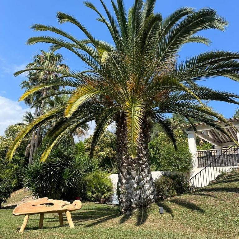 Villa de luxe à Mougins - Villa avec Piscine Privée - 33