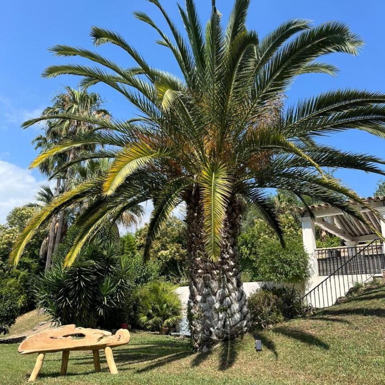 Villa de luxe à Mougins - Villa avec Piscine Privée - 39
