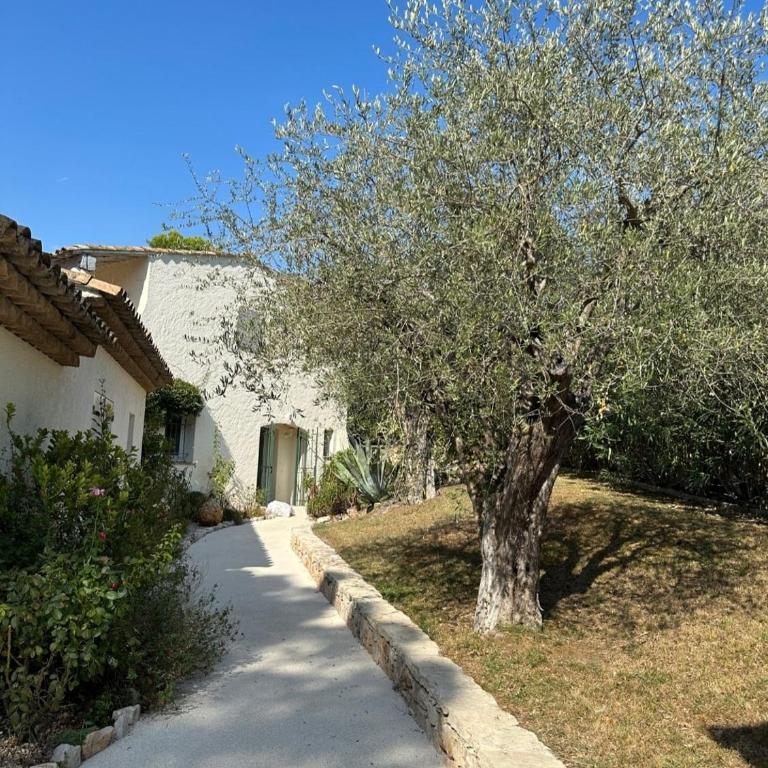 Villa de luxe à Mougins - Villa avec Piscine Privée - 41