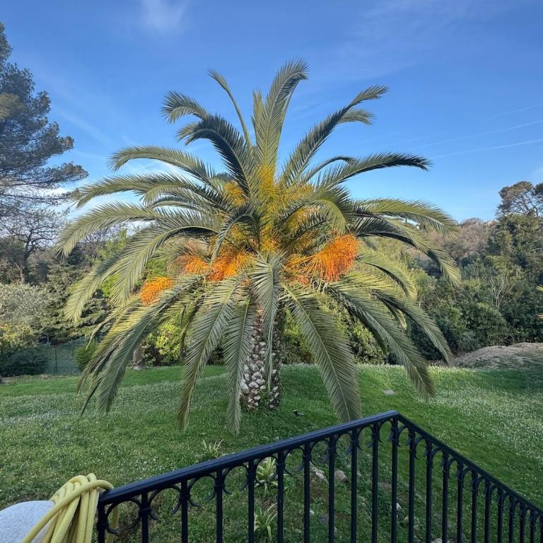 Villa de luxe à Mougins - Villa avec Piscine Privée - 62